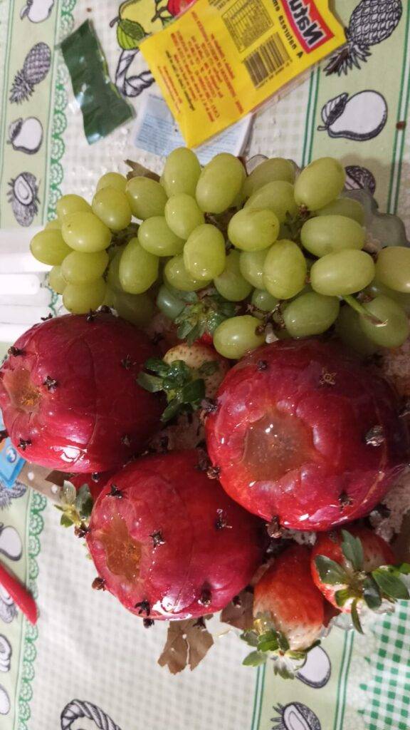 WhatsApp Image 2025-07-31 at 17.09.46